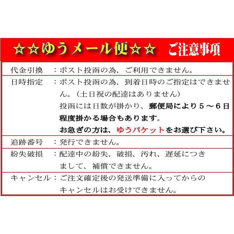 YONEX（ヨネックス） YONEX 10581 ゲームシャツ 中国代表 CHINA