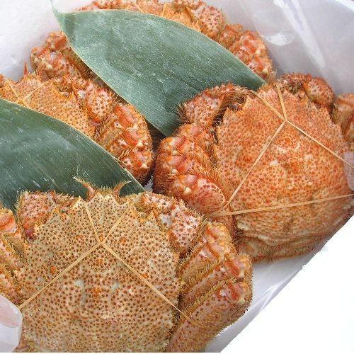 北海道産毛ガニ（1尾約350g〜370ｇ）※現在価格は2680円※ペイペイ払いは送料無料対象外｜food-link