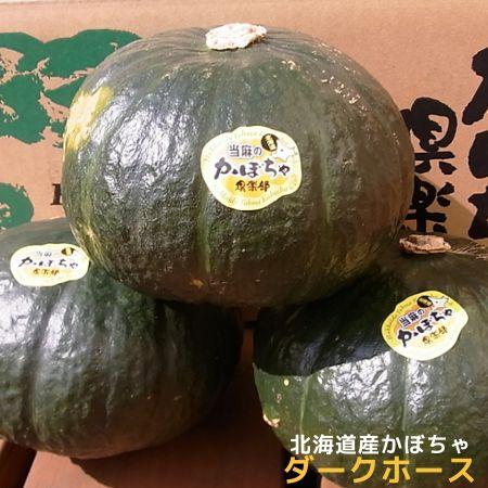 訳あり北海道産かぼちゃ「ダークホース」(約10kg)|food-link|02