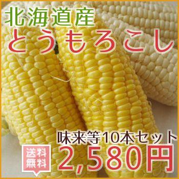 北海道産とうもろこし （味来等10本セット）送料無料10本3280円 :toumorokoshi-00210:フードリンク北海道 - 通販