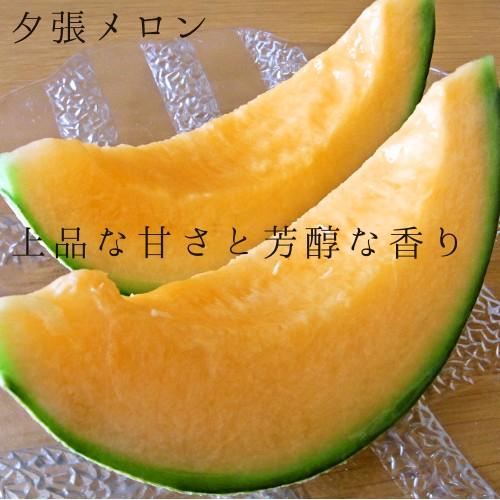 夕張メロン共撰品規格ランク指定なし 約1 6ｋｇ大玉 1個入 Yu Melon007 フードリンク北海道 通販 Yahoo ショッピング