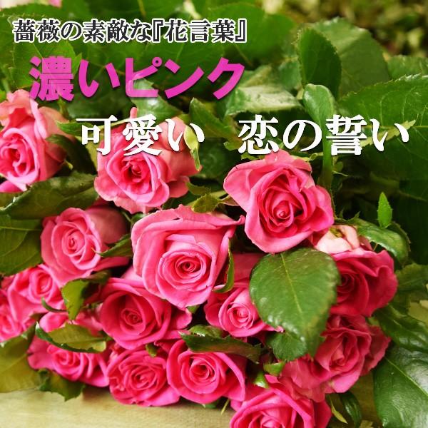バラ 薔薇 生花 セルフアレンジメント用 バラ 濃いピンク 単色 30本 ダークピンク 切花 新鮮なバラを産地直送 ドリームローズ Rose30 Dpink あがっしゃい総本舗 通販 Yahoo ショッピング