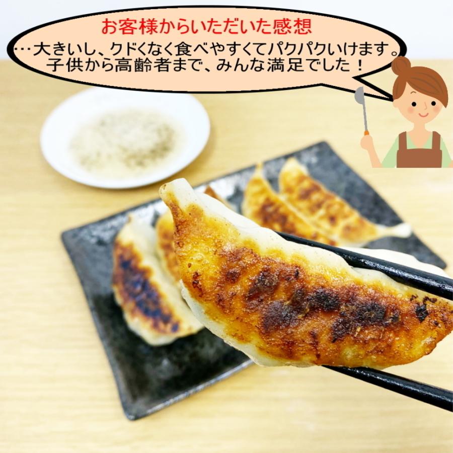 送料無料 冷凍餃子 宇都宮AQ餃子肉焼売セット  宇都宮 餃子 ぎょうざ ギョーザgyouza 餃子焼売セット シュウマイ シューマイ｜foodjam｜04