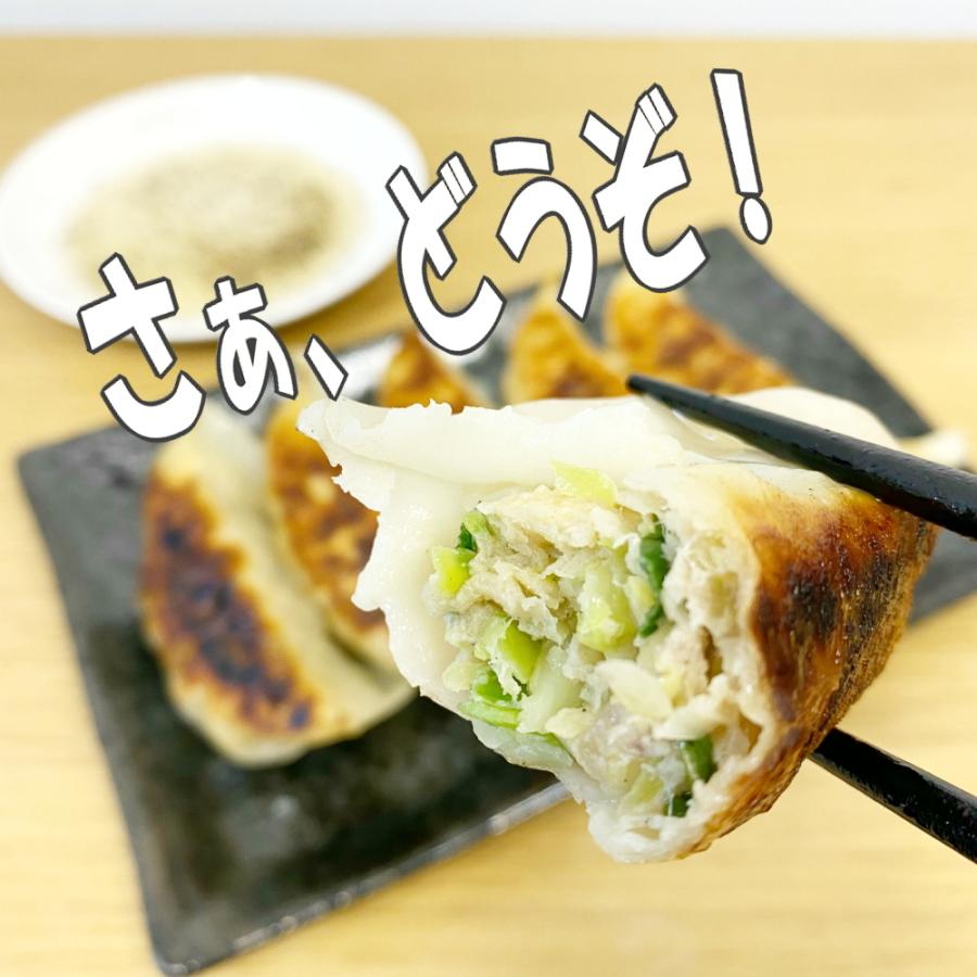 送料無料 冷凍餃子 宇都宮AQ餃子肉焼売セット  宇都宮 餃子 ぎょうざ ギョーザgyouza 餃子焼売セット シュウマイ シューマイ｜foodjam｜05