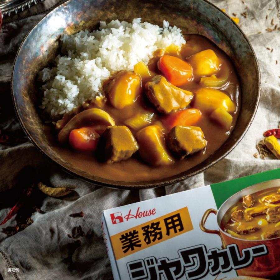 ハウス ジャワカレー 業務用 １kg カレールゥ｜foodjam｜02