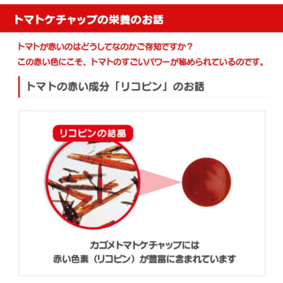 KAGOME（カゴメ） トマトケチャップ 800g : 業務用食品卸 フード