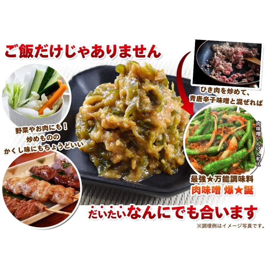 ご飯のお供 青唐辛子みそ 250g おかず味噌 青唐がらし味噌 特産品 名物商品｜foods-line｜03