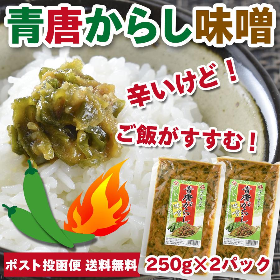 ご飯のお供 青唐辛子みそ 250g×2パック 青唐がらし味噌 おかず味噌 特産品 名物商品｜foods-line