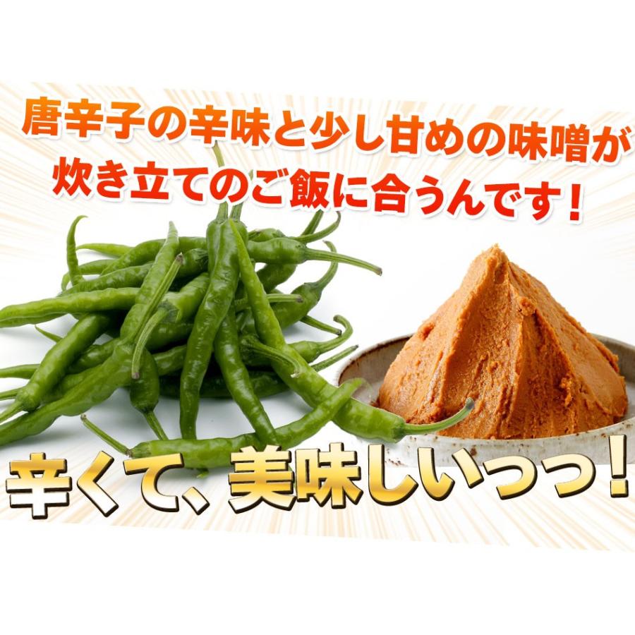 ご飯のお供 青唐辛子みそ 250g×2パック 青唐がらし味噌 おかず味噌 特産品 名物商品｜foods-line｜02