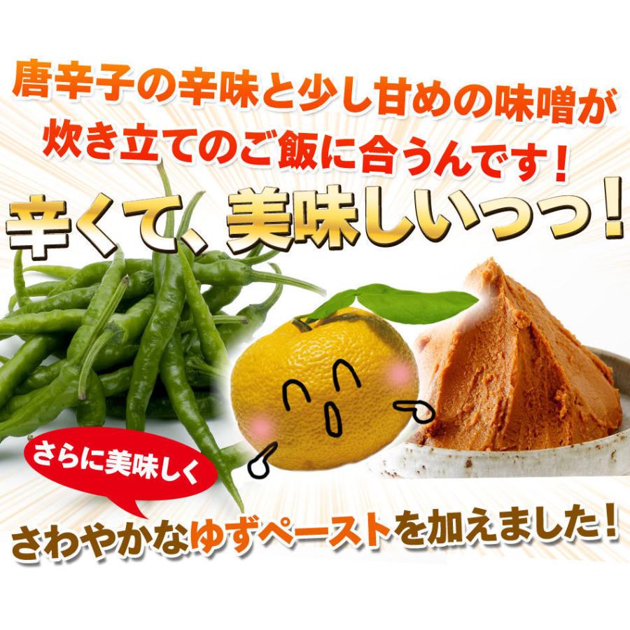 ご飯のお供 青唐ゆず味噌 250g おかず味噌 特産品 名物商品｜foods-line｜02