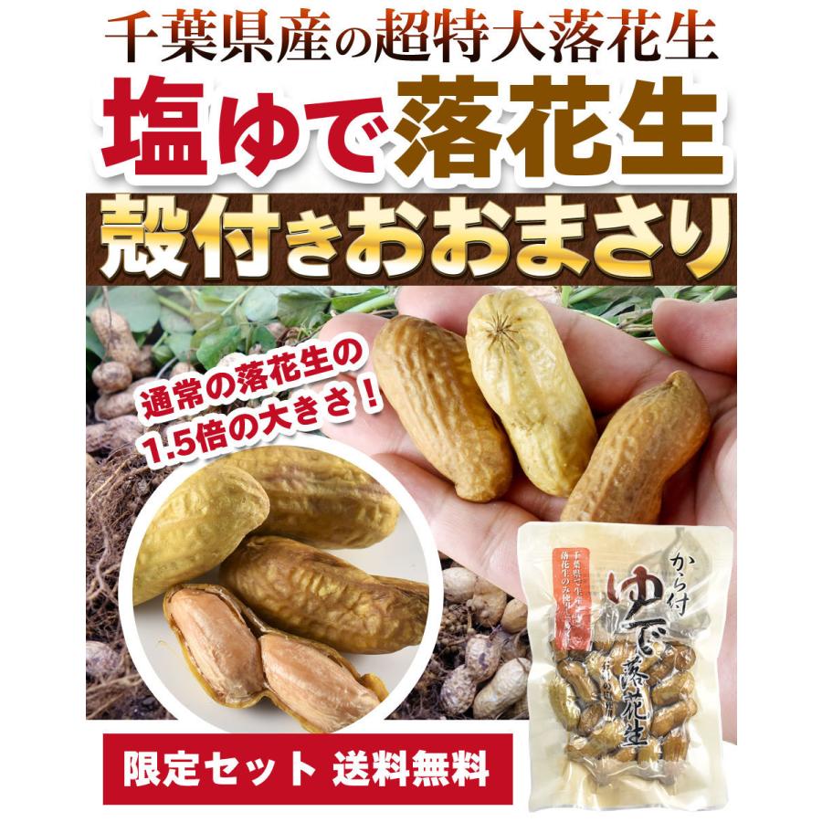 母の日 人気商品 プレゼント ゆで落花生 千葉県 おおまさり 殻つき 22年 国産 160g ギフト