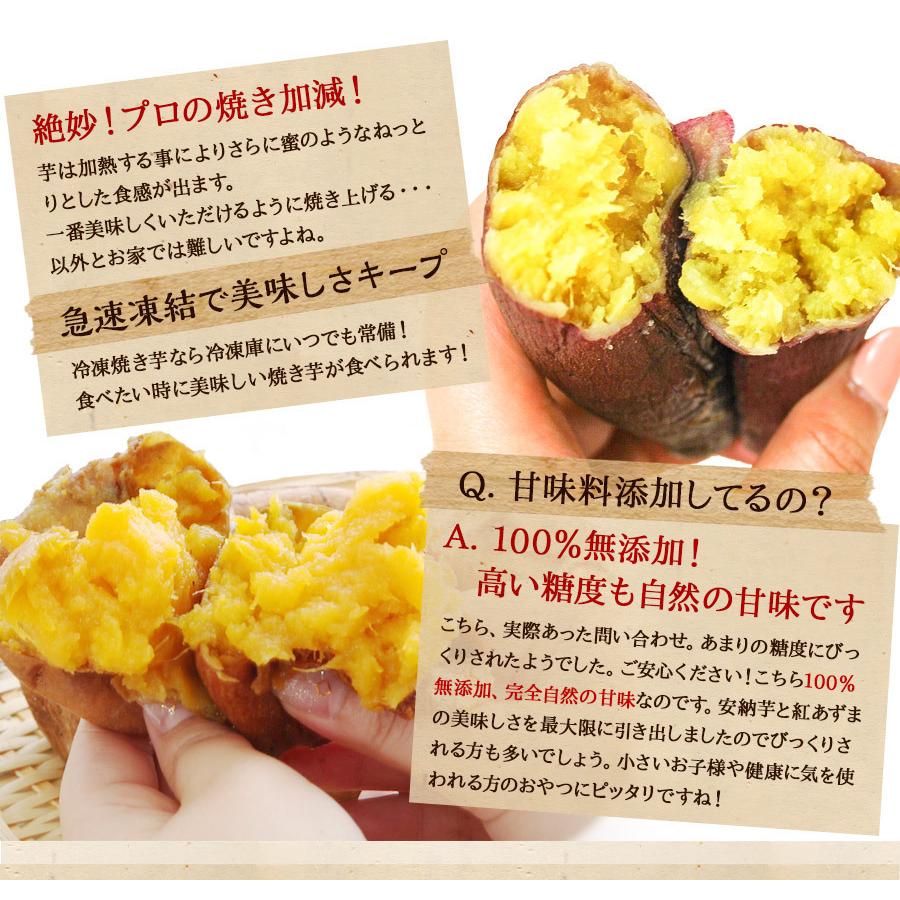 安納芋 紅はるか 冷凍焼き芋 500g 2セット 鹿児島県産 食べ比べセット 天然スイーツ 電子レンジ 鹿児島 名物商品 80代 敬老の日 九州 焼き芋 誕生日 お祝い プレゼント