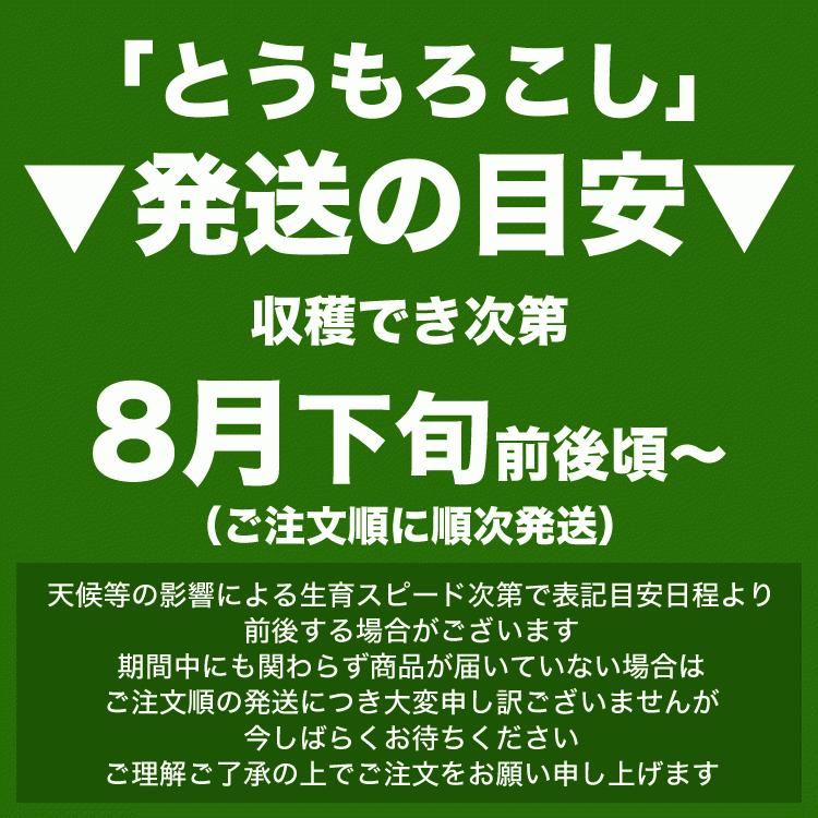 とうもろこし 黄粒 L〜2L×10本　北海道産 とうきび　お届け日指定不可無効　2024年8月下旬前後頃よりご注文順に発送｜foodsland｜02