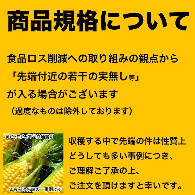 2026年収穫予約 とうもろこし 黄粒 L〜2L×10本 北海道産 とうきび お
