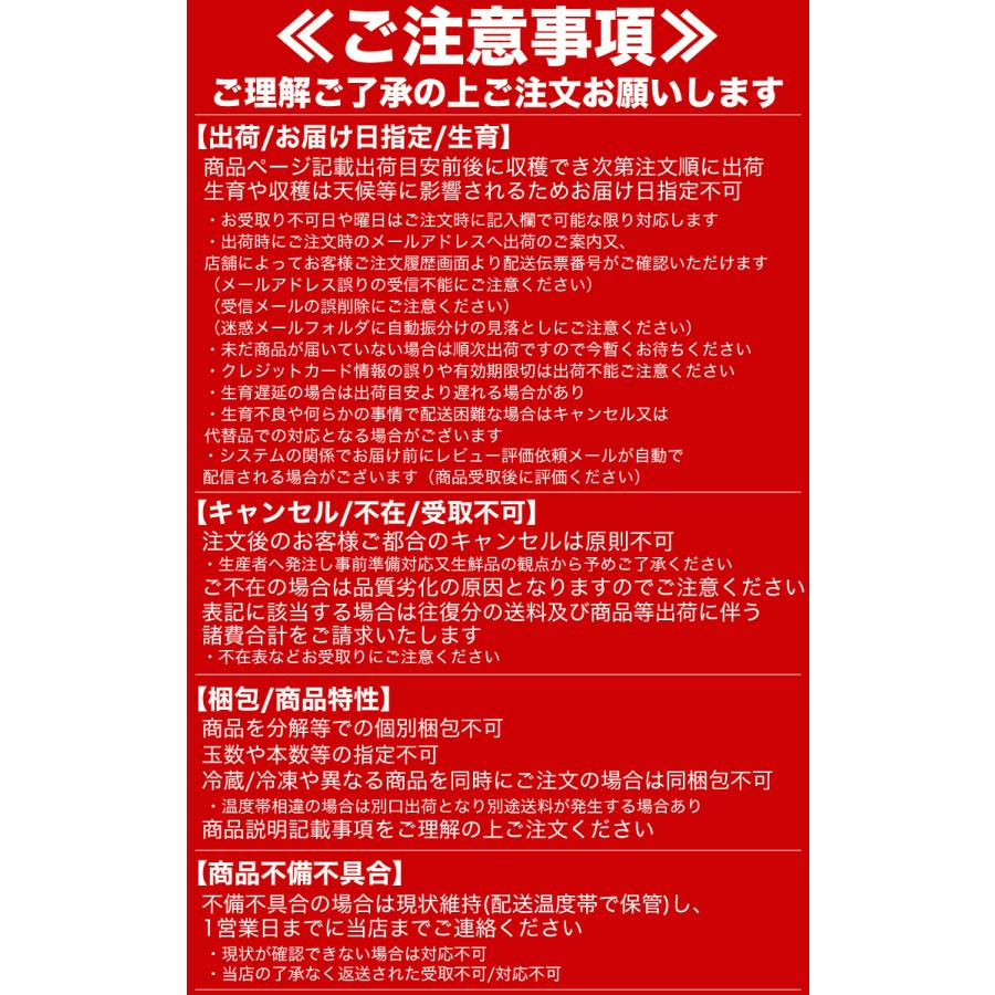 とうもろこし 黄粒　訳あり 20〜30前後　北海道産 とうきび わけあり 訳有　お届け日指定不可無効　2024年8月下旬前後頃よりご注文順に発送｜foodsland｜09