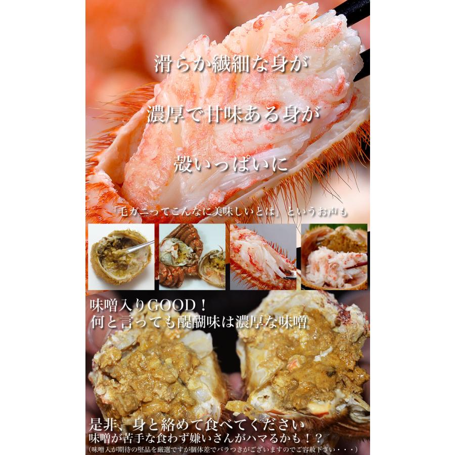 超特大 毛ガニ 800g 前後×2尾セット 北海道産 姿 味噌 けがに 毛がに