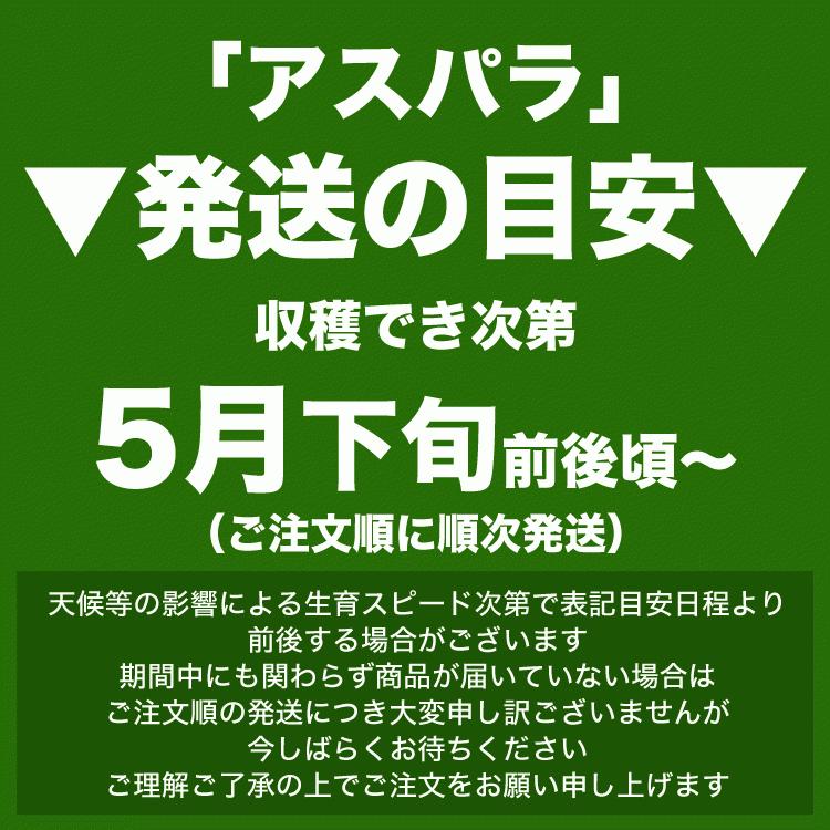 アスパラ 北海道産 訳あり 約2kg SS〜2L混合 グリーン あすぱら わけあり 訳有 お届け日指定不可無効 2024年5月下旬前後頃よりご注文順に発送｜foodsland｜02