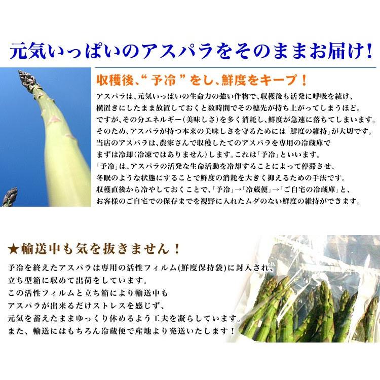 アスパラ 北海道産 訳あり 約2kg SS〜2L混合 グリーン あすぱら わけあり 訳有 お届け日指定不可無効 2024年5月下旬前後頃よりご注文順に発送｜foodsland｜07