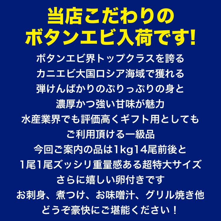 ボタンエビ 超特大 1kg前後 14尾前後 えび 海老｜foodsland｜02