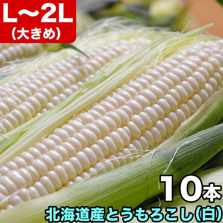 とうもろこし 白粒 L〜2L×10本　北海道産 とうきび　お届け日指定不可無効　2024年8月下旬前後頃よりご注文順に発送｜foodsland