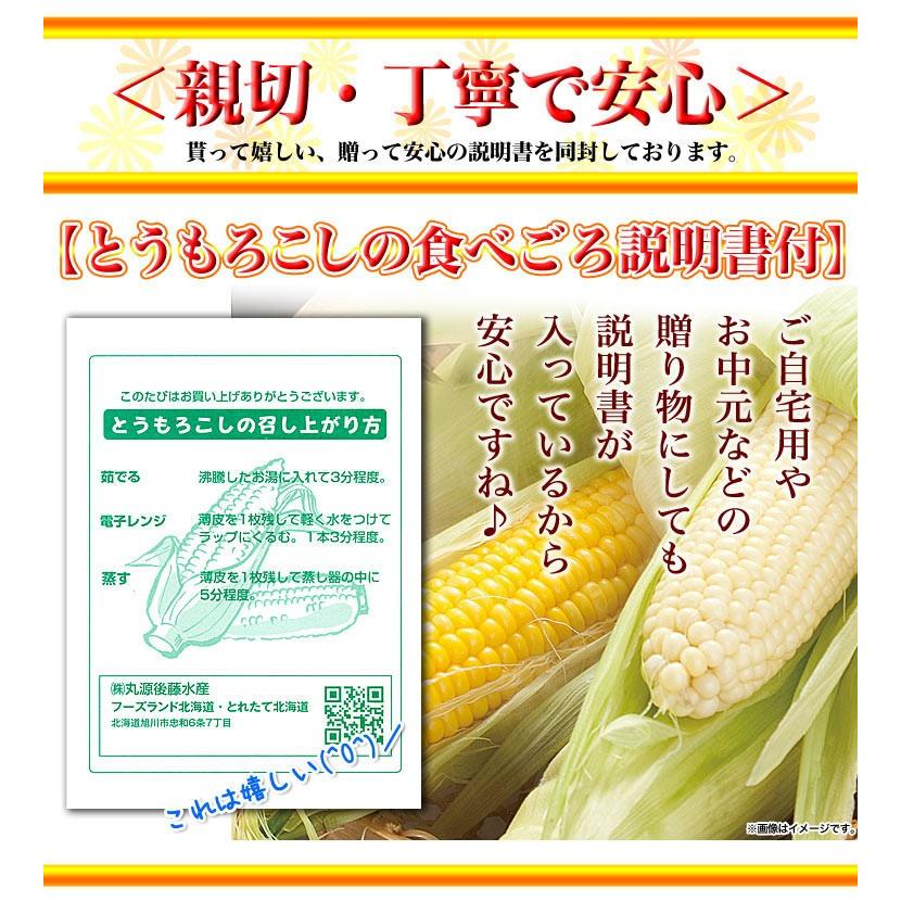 とうもろこし 白粒　訳あり 20〜30前後　北海道産 とうきび わけあり 訳有　お届け日指定不可無効　2024年8月下旬前後頃よりご注文順に発送｜foodsland｜08