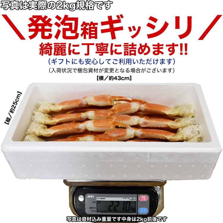 大型 ズワイガニ 脚 2kg前後 総重量 5〜8肩前後 ボイル ずわいがに 蟹 足｜foodsland｜06