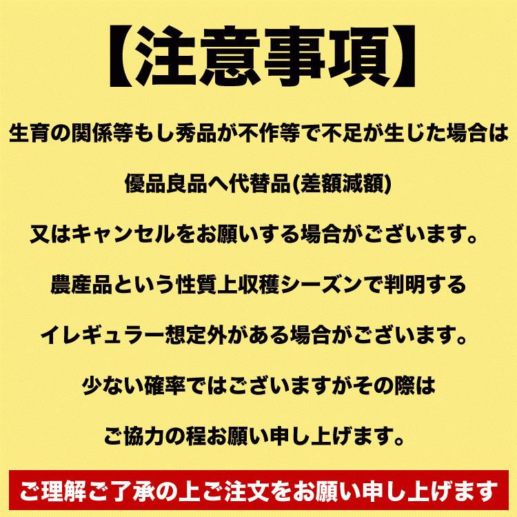 夕張メロン 秀品 1玉　約1.3kg　共選 メロン 北海道産 めろん 赤肉　お届け日指定不可無効　2024年7月前後頃よりご注文順に発送｜foodsland｜11