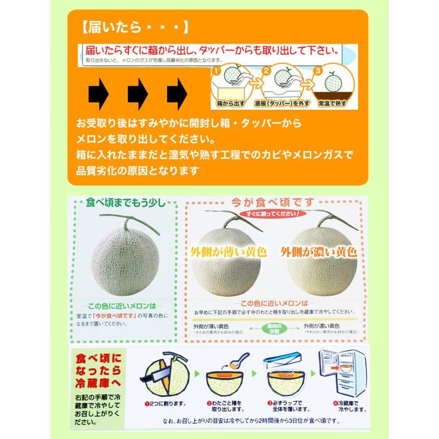 夕張メロン 秀品 1玉　約1.3kg　共選 メロン 北海道産 めろん 赤肉　お届け日指定不可無効　2024年7月前後頃よりご注文順に発送｜foodsland｜08