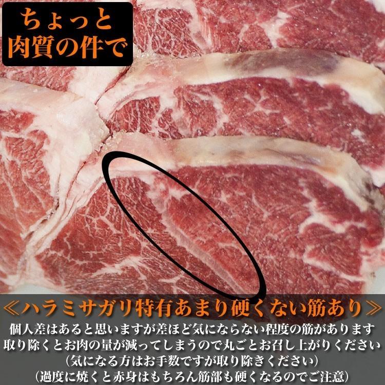 ハラミ サガリ 牛 業務用 600g×10個 600gあたり1680円 厚切り 味付け 焼肉 BBQ バーベキュー 大人買い 卸 仕入れ OK 個別梱包不可｜foodsland｜05