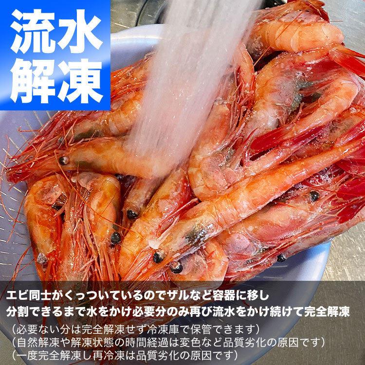 最大 Offクーポン 4l 甘えび ナンバンエビ 1kg前後 エビ えび 海老 刺身 握り寿司 ちらし寿司 手巻き寿司 海鮮丼 他エビ料理用に Wantannas Go Id