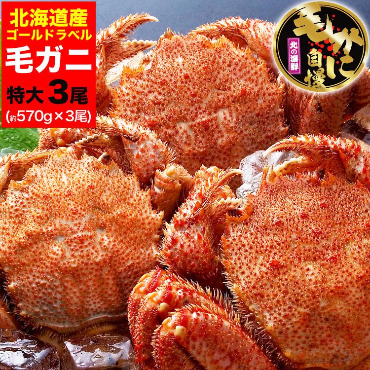 年末年始指定OK】毛ガニ 毛蟹 570g前後×3尾 特大(北海道産 けがに kegani カニ味噌 かにカニ 蟹 かに カニ)(ボイル加熱済み)  :9550:フーズランド北海道 - 通販 - Yahoo!ショッピング