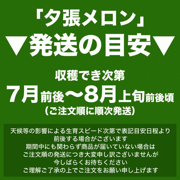 2026年収穫予約 夕張メロン 秀品 2玉で約2.6kg 1玉あたり約1.3kg 共選