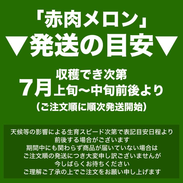 2026年収穫予約 赤肉スウィートメロン 北海道産 1.3kg前後×1玉 めろん お届け日指定不可 2026年7月上旬〜中旬頃より順次発送 お中元 暑中見舞い ギフト お祝 |  | 02