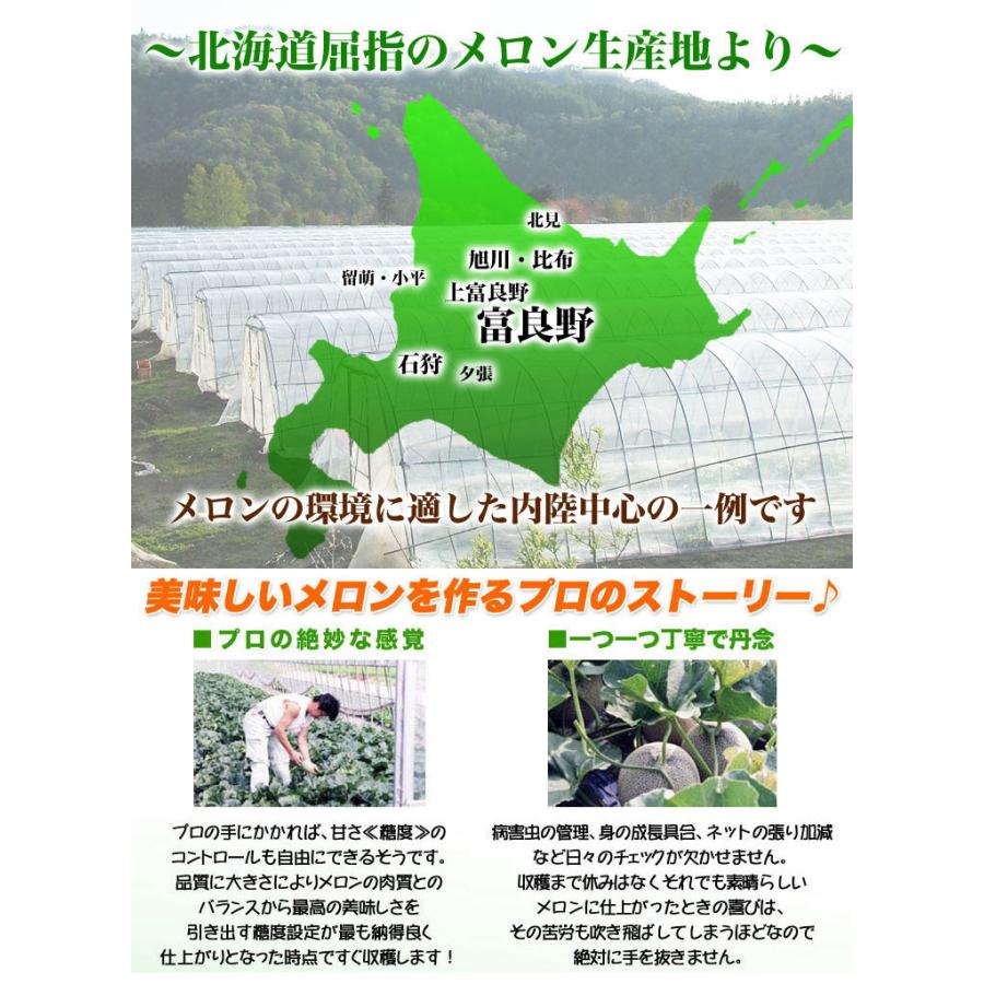 2026年収穫予約 赤肉スウィートメロン 北海道産 1.3kg前後×1玉 めろん お届け日指定不可 2026年7月上旬〜中旬頃より順次発送 お中元 暑中見舞い ギフト お祝 |  | 03