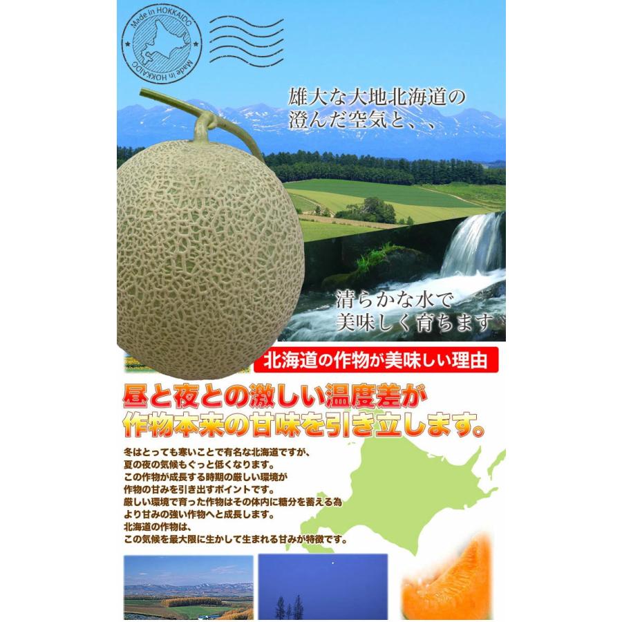2026年収穫予約 赤肉スウィートメロン 北海道産 1.3kg前後×1玉 めろん お届け日指定不可 2026年7月上旬〜中旬頃より順次発送 お中元 暑中見舞い ギフト お祝 |  | 04