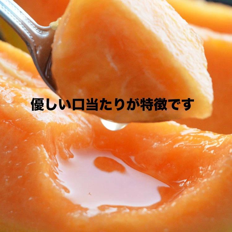 2026年収穫予約 赤肉スウィートメロン 北海道産 1.3kg前後×1玉 めろん お届け日指定不可 2026年7月上旬〜中旬頃より順次発送 お中元 暑中見舞い ギフト お祝 |  | 05