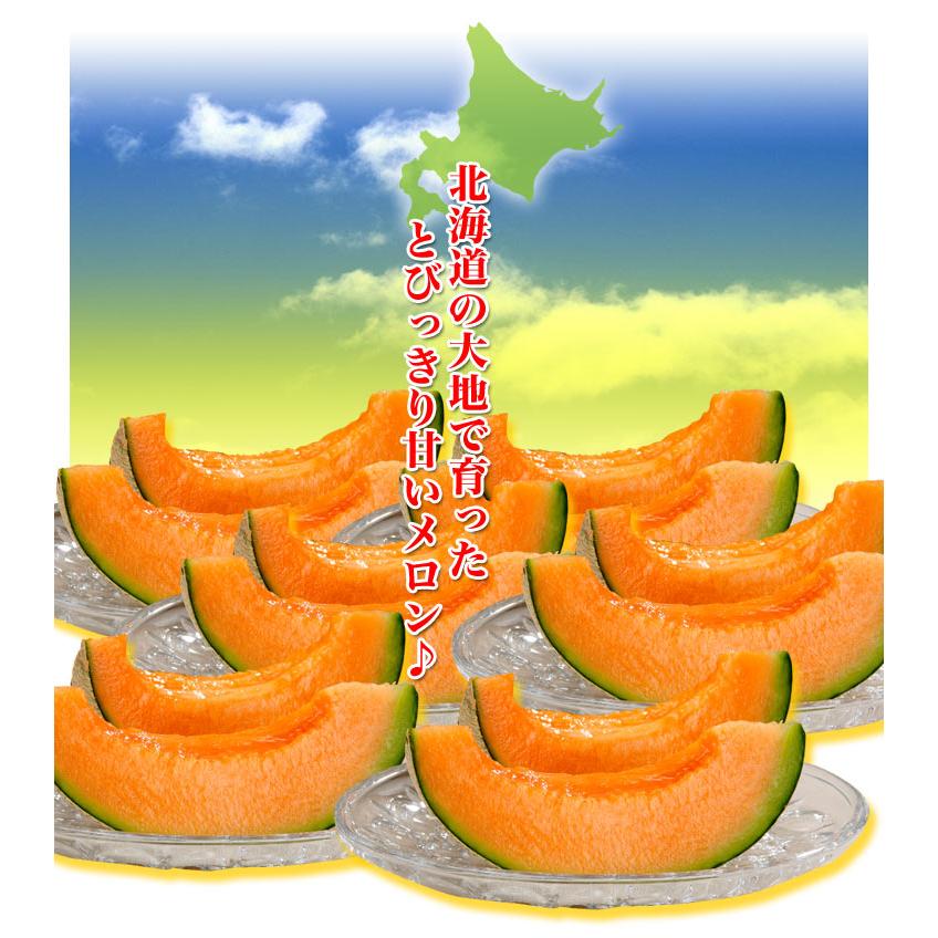 2026年収穫予約 赤肉スウィートメロン 北海道産 1.3kg前後×1玉 めろん お届け日指定不可 2026年7月上旬〜中旬頃より順次発送 お中元 暑中見舞い ギフト お祝 |  | 12
