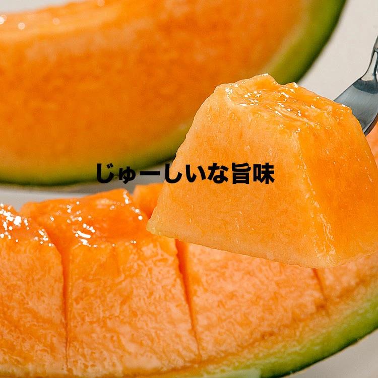 2026年収穫予約 赤肉スウィートメロン 北海道産 1.3kg前後×1玉 めろん お届け日指定不可 2026年7月上旬〜中旬頃より順次発送 お中元 暑中見舞い ギフト お祝 |  | 06