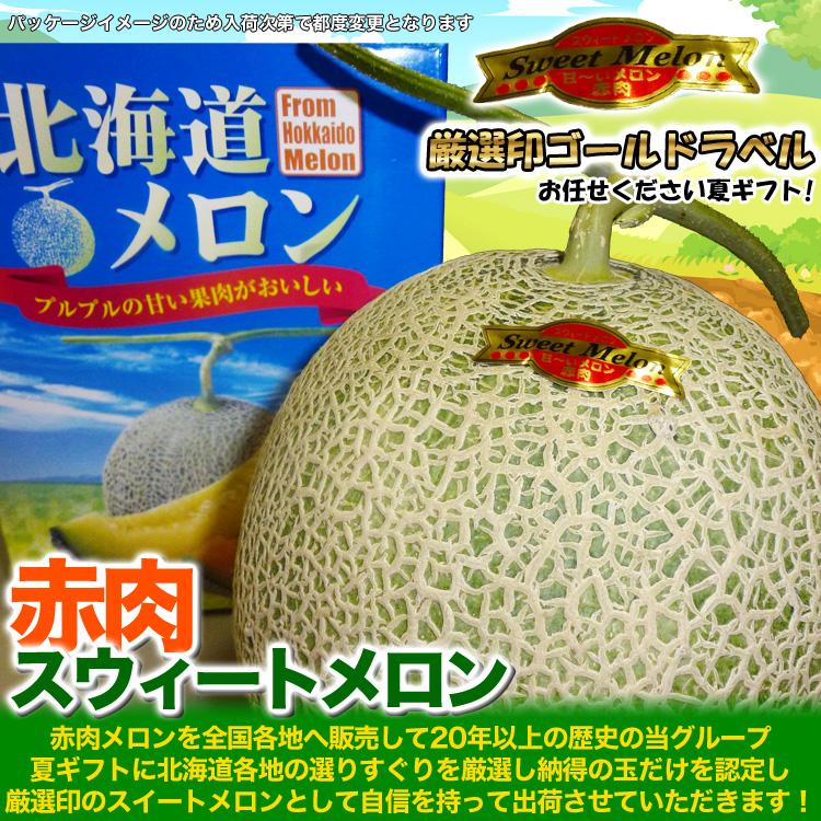 2026年収穫予約 赤肉スウィートメロン 北海道産 1.3kg前後×1玉 めろん お届け日指定不可 2026年7月上旬〜中旬頃より順次発送 お中元 暑中見舞い ギフト お祝 |  | 08