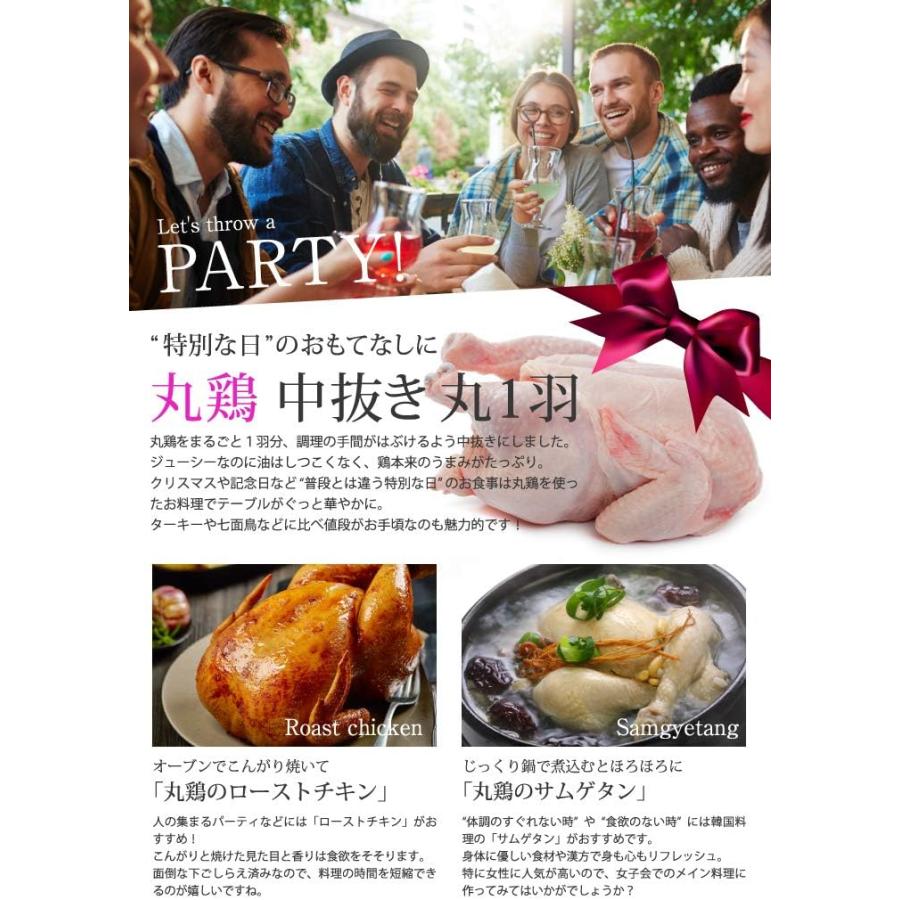 冷凍丸鶏」中抜きグリラー 丸1羽 1000g ローストチキン用 サムゲタン
