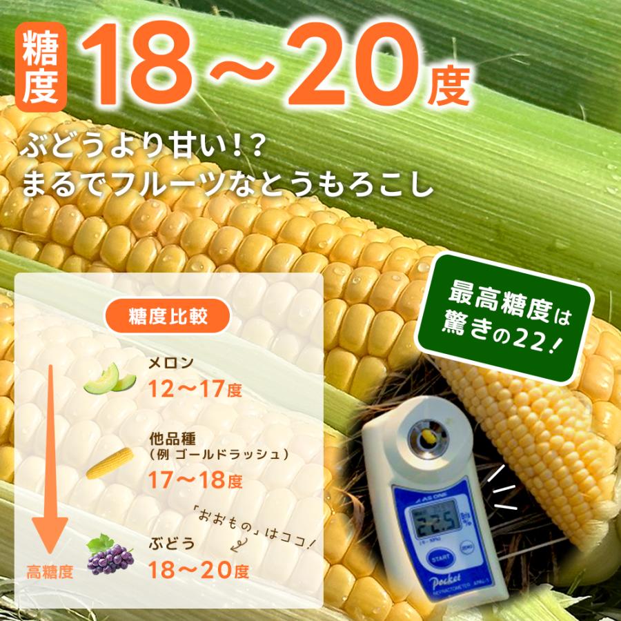冷蔵発送！】朝採れ限定！山梨県産 おおもの とうもろこし 2.3kg・5kg