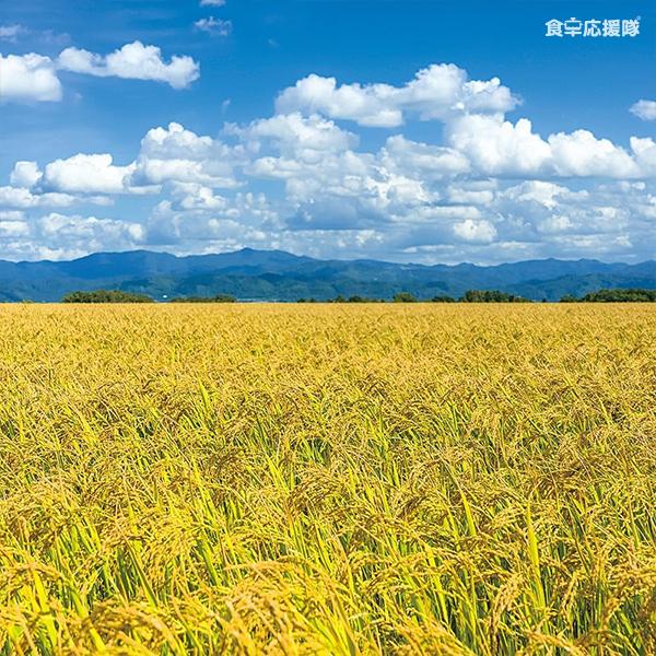 国産 ブレンド米 5kg / 令和6年度精米 特A山形県産『はえぬき』× 栃木