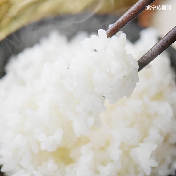 国産 ブレンド米 5kg / 令和6年度精米 特A山形県産『はえぬき』× 栃木