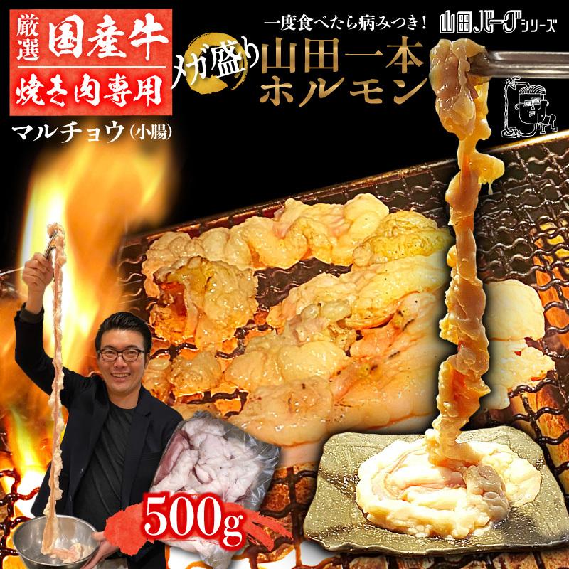 極上 とろける 国産 牛 ホルモン 500g 【約4〜5人前】 【焼肉用】 山田 1本 ホルモン まる腸 小腸 まるごと カット無し ノーカット ギフト 国産牛 冷凍 :308033-yamada-horyaki-500g:食のセレクトショップ山田屋 - 通販 - Yahoo!ショッピング 極上 とろける 国産 牛 ホルモン 500g 【約4〜5人前】 【焼肉用】 山田 1本 ホルモン まる腸 小腸 まるごと カット無し ノーカット ギフト 国産牛 冷凍 :308033-yamada-horyaki-500g:食のセレクトショップ山田屋 - 通販 - Yahoo!ショッピング