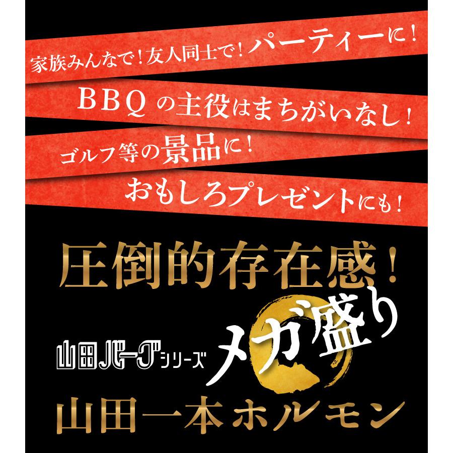 極上 とろける 国産 牛 ホルモン 500g 【約4〜5人前】 【焼肉用】 山田 1本 ホルモン まる腸 小腸 まるごと カット無し ノーカット ギフト 国産牛 冷凍｜foodyamadaya｜08