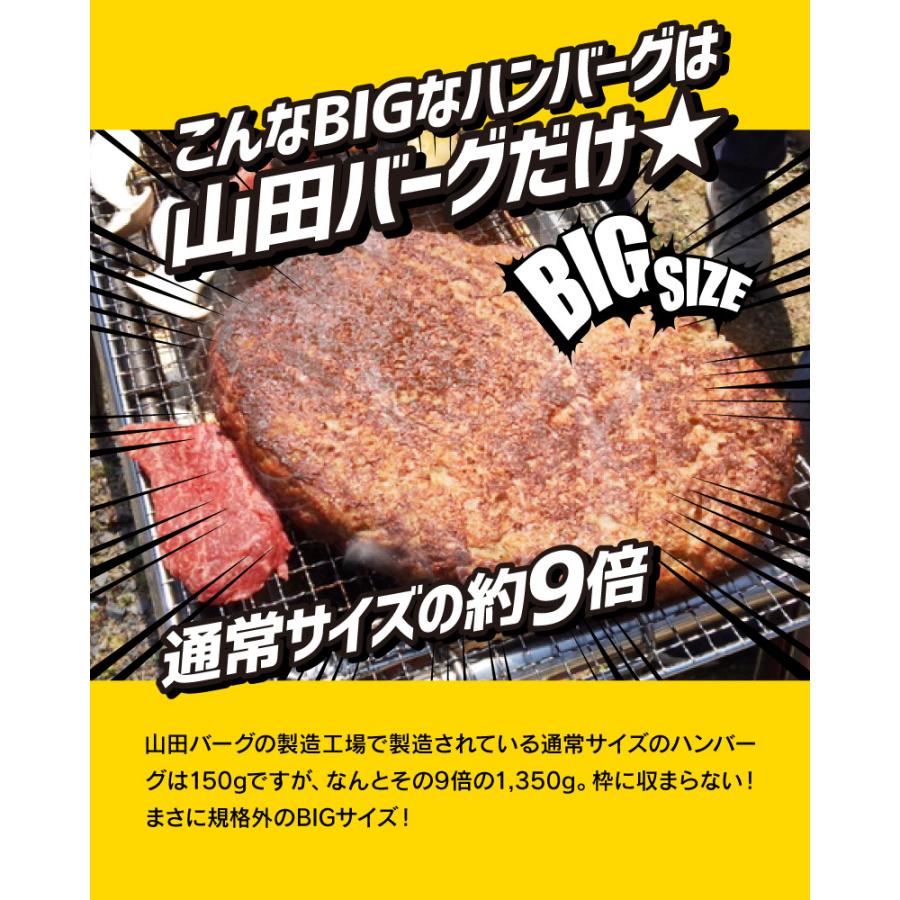 カレー レトルト セット ゴーゴーカレー × 山田バーグ スペシャルコラボ ゴーゴー4点セット 詰め合わせ  ご当地 金沢カレー ギフト｜foodyamadaya｜10