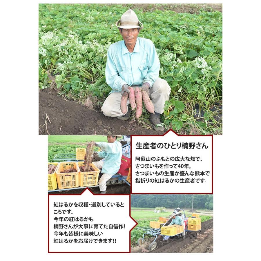 さつまいも 紅はるか 送料無料 4.5kg 熊本県産 べにはるか サツマイモ