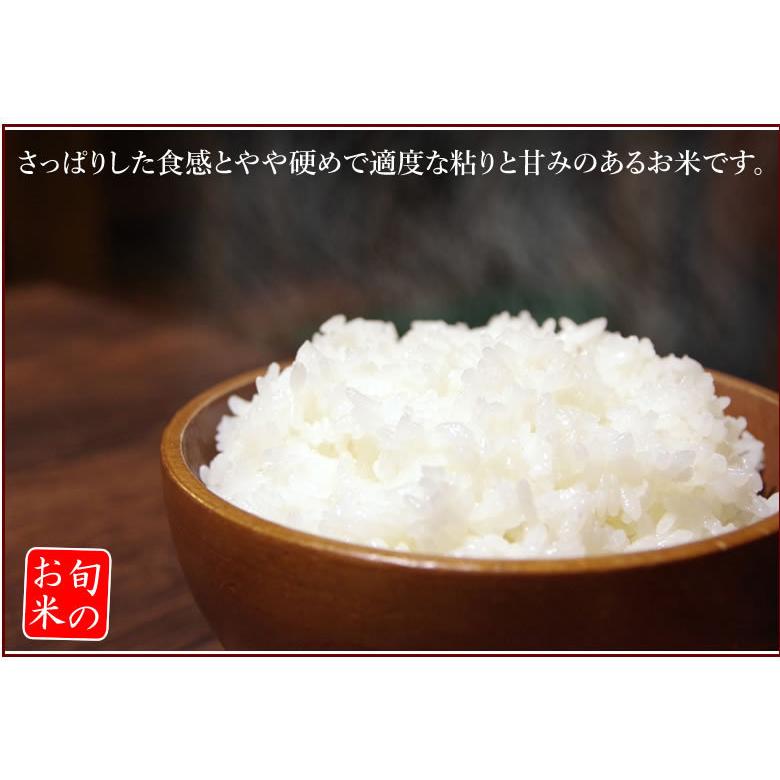 米 5kg 九州ブレンド米 送料無料 令和4年度産 森のくまさん ひの 米 5kg 九州ブレンド米 送料無料 令和4年度産 森のくまさん ひの