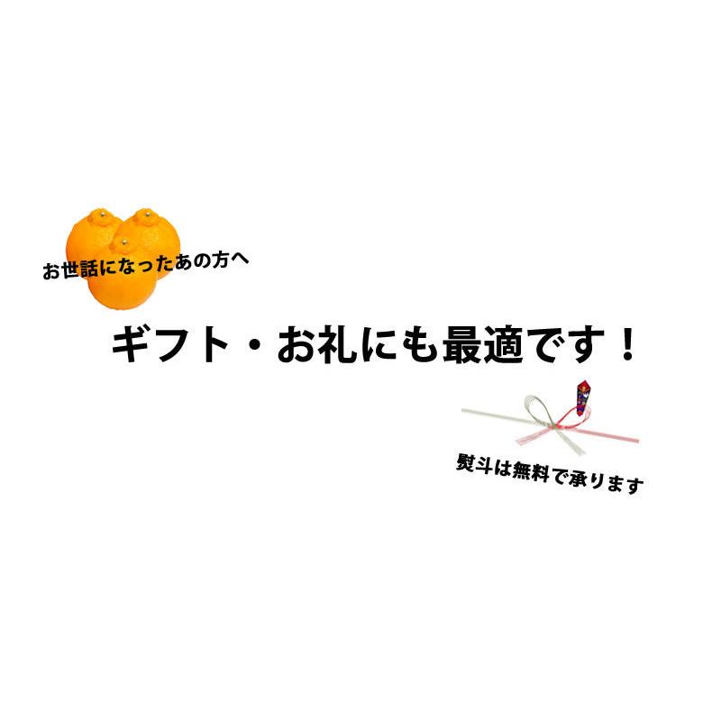 みかん デコポン 光センサー選果 約2kg 送料無料 御歳暮 ギフト DEKOPON  熊本県産  不知火 フルーツ お取り寄せ 蜜柑 ミカン｜foodys｜04