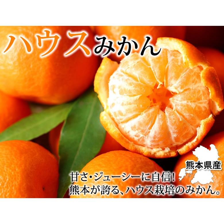 限定価格セール 静岡県浜名湖 ハウスみかん 2S 3S 2キロ 静岡県浜名湖 ハウスみかん2S、3Sサイズ2キロ